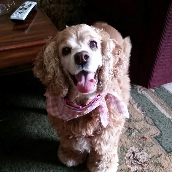 Meet your Posher, Donna - Picture 5 of 8